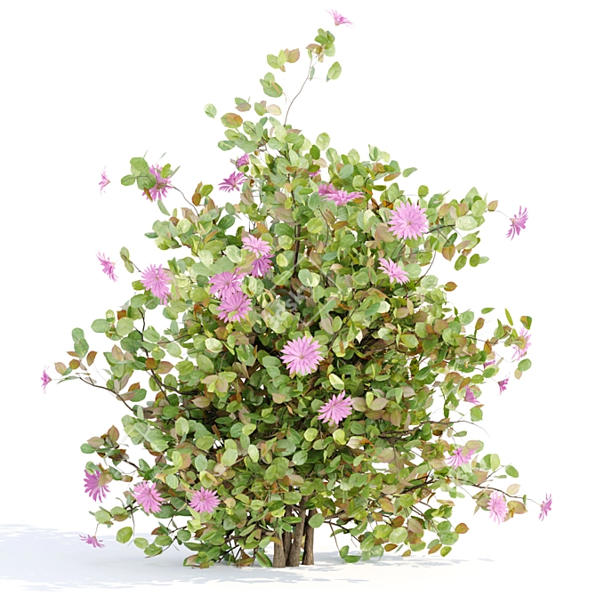  Blooming Bushes Pack Vol. 108 3D model image 5