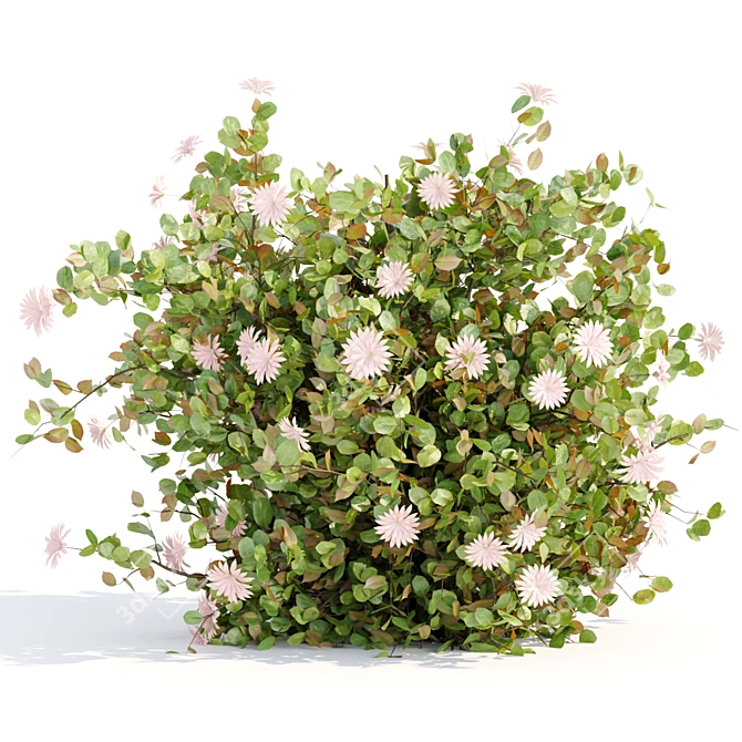  Blooming Bushes Pack Vol. 108 3D model image 6