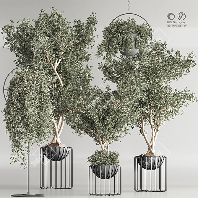 Modern Indoor Plant Set 3D model image 1