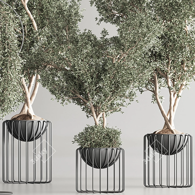 Modern Indoor Plant Set 3D model image 5