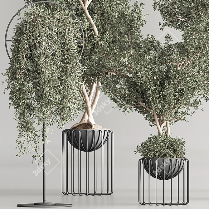 Modern Indoor Plant Set 3D model image 6