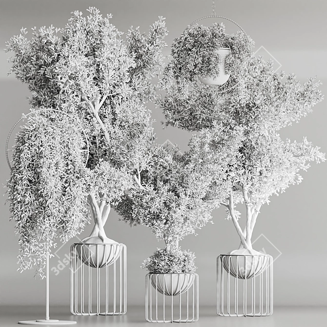 Modern Indoor Plant Set 3D model image 8