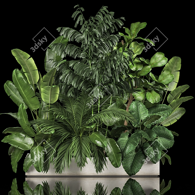 Exotic Plant Collection for Home Garden 3D model image 1