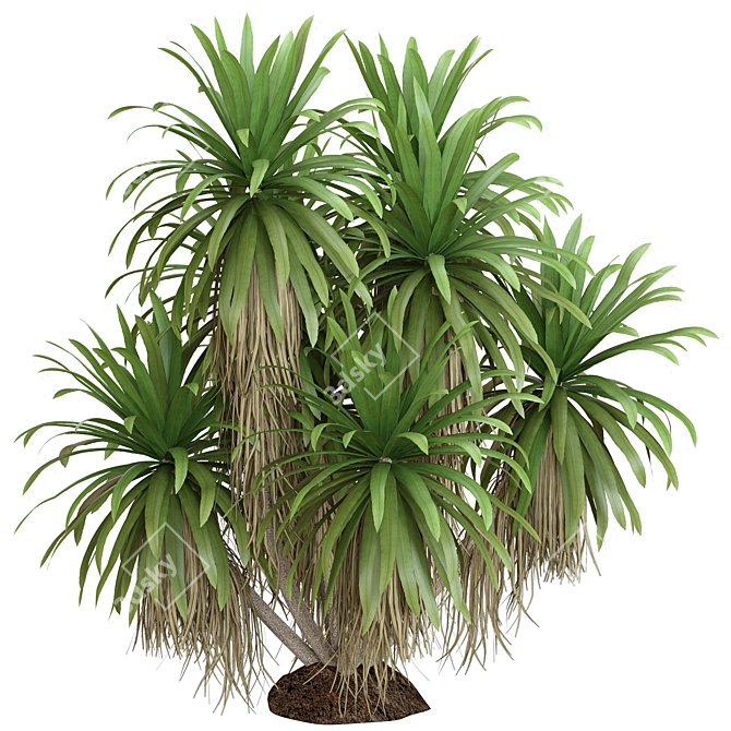 Botanical Oasis Plant Collection 3D model image 1