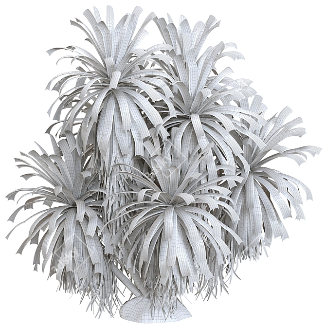 Botanical Oasis Plant Collection 3D model image 2