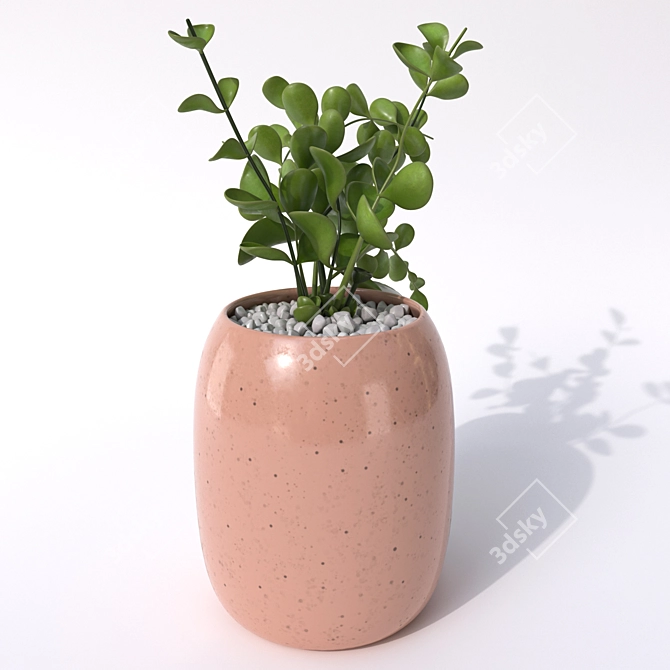  Modern Vase Design Set 3D model image 3