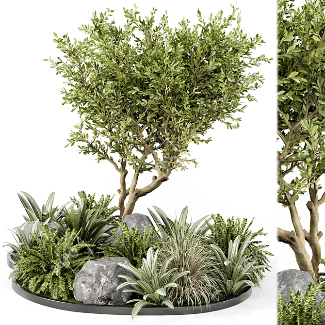 Outdoor Garden 3D Tree Set 3D model image 1