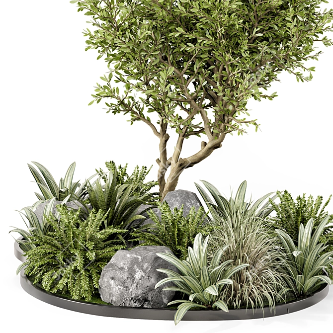 Outdoor Garden 3D Tree Set 3D model image 2