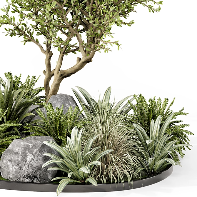 Outdoor Garden 3D Tree Set 3D model image 3