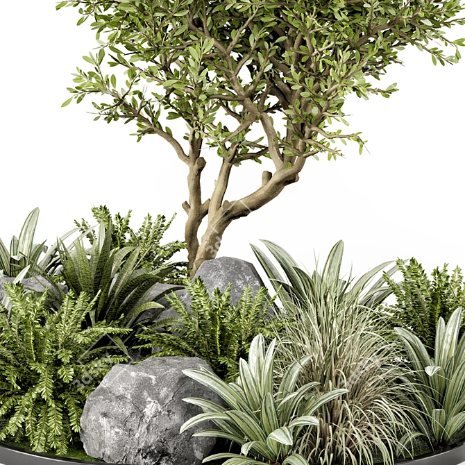 Outdoor Garden 3D Tree Set 3D model image 4