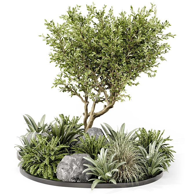 Outdoor Garden 3D Tree Set 3D model image 5