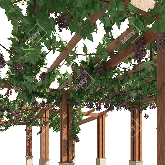 3D Grape Vine Pergola Models 3D model image 2