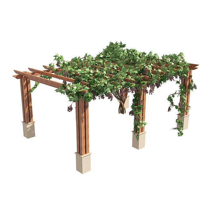 3D Grape Vine Pergola Models 3D model image 3