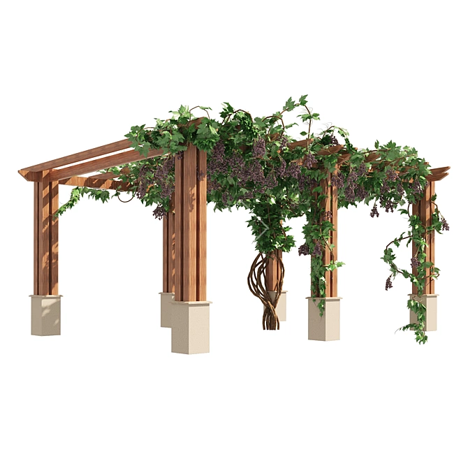 3D Grape Vine Pergola Models 3D model image 5