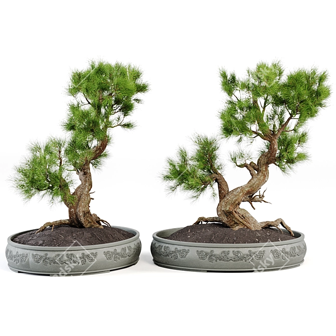 Bonsai Vases Set 2014 Vol.02 3D model image 2