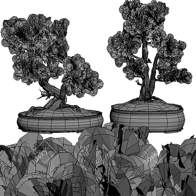 Bonsai Vases Set 2014 Vol.02 3D model image 4