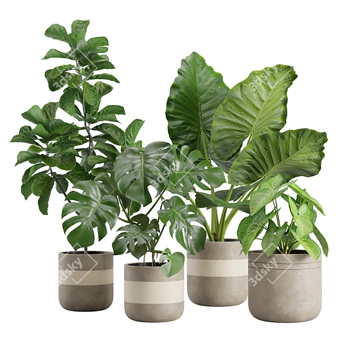 Exotic Indoor Plants Pack 21 3D model image 1