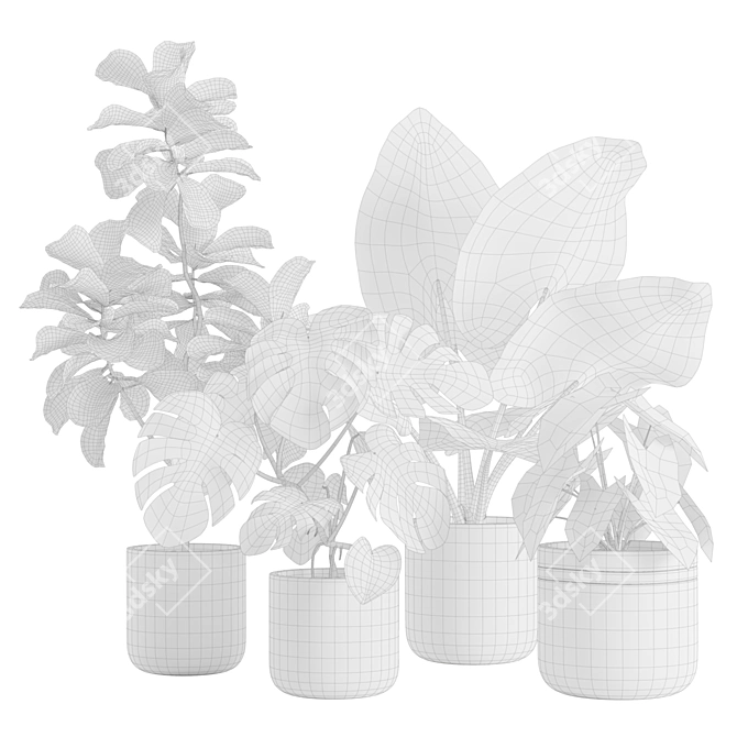 Exotic Indoor Plants Pack 21 3D model image 3