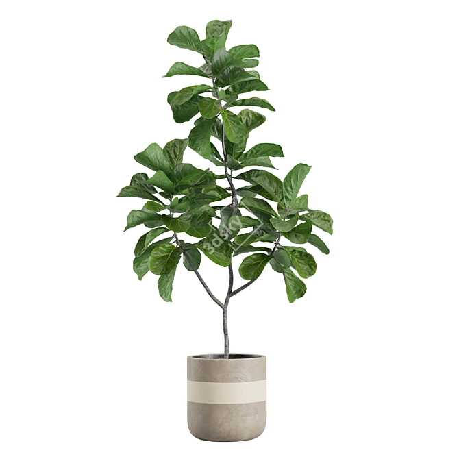 Exotic Indoor Plants Pack 21 3D model image 5