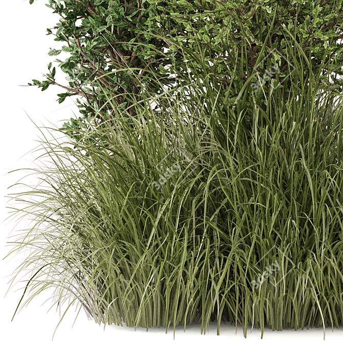 Bush Plants Set 390 - 3dsMax/Vray 3D model image 2