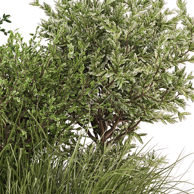 Bush Plants Set 390 - 3dsMax/Vray 3D model image 4