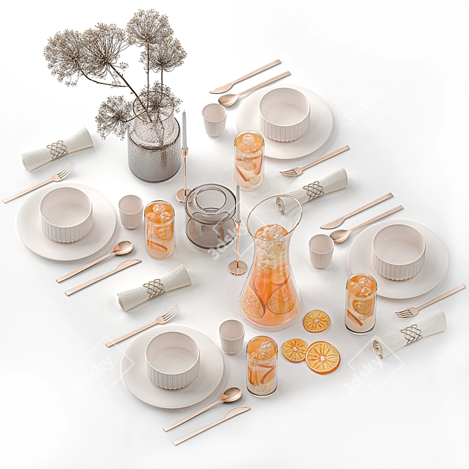 Eco Citrus Table Setting Kit 3D model image 1