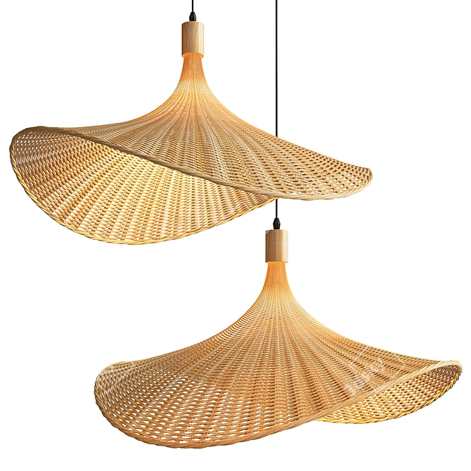 Bamboo Rattan Pendant Light 3D model image 1