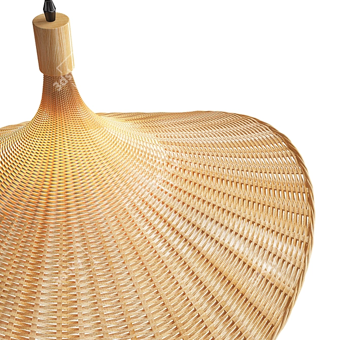 Bamboo Rattan Pendant Light 3D model image 2