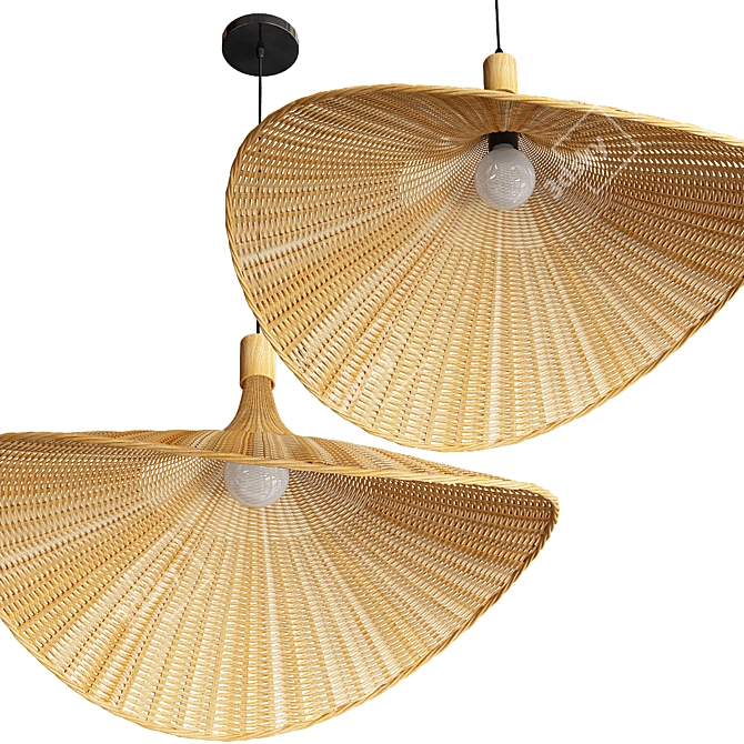 Bamboo Rattan Pendant Light 3D model image 3