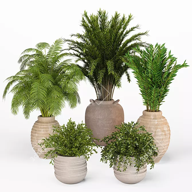 High-Quality Indoor Plants Collection 3D model image 1