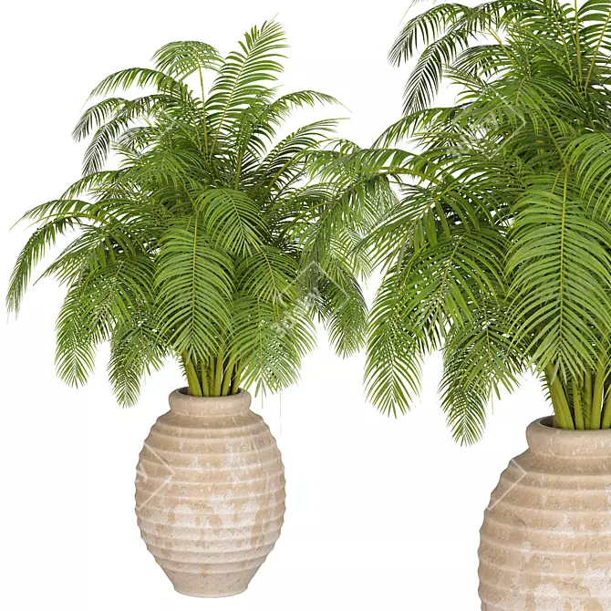 High-Quality Indoor Plants Collection 3D model image 4