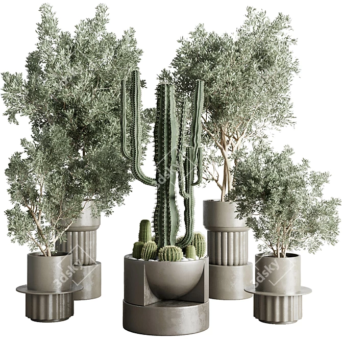 Concrete Vase Indoor Plant Collection 3D model image 1