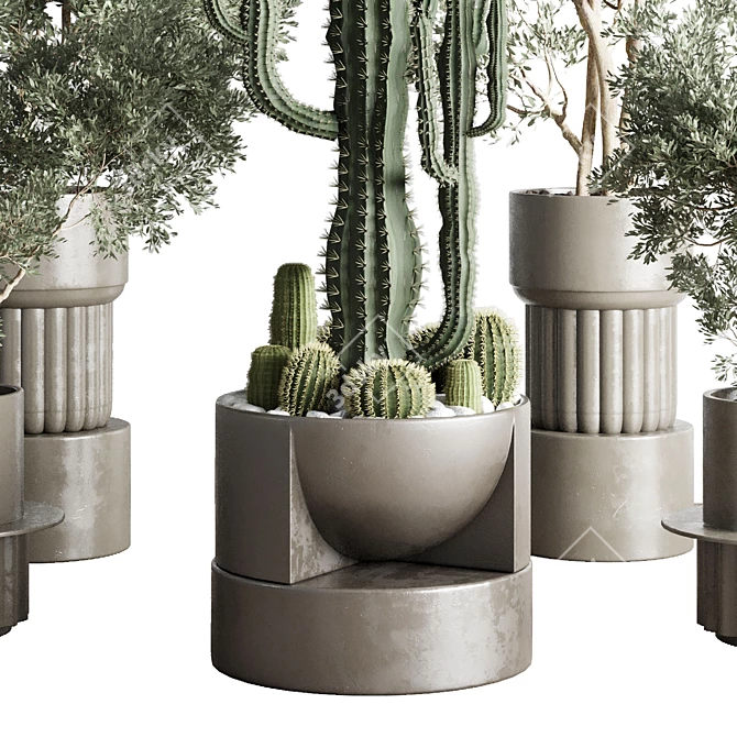 Concrete Vase Indoor Plant Collection 3D model image 5