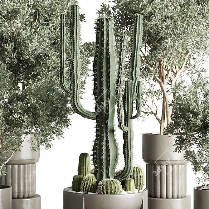 Concrete Vase Indoor Plant Collection 3D model image 6