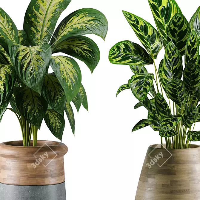 Modern Indoor Plants Collection 18 3D model image 4