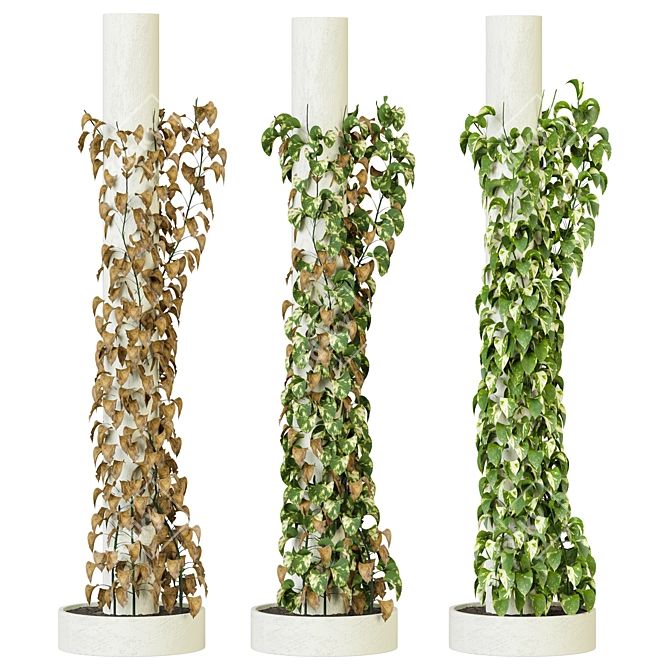 Outdoor Flowering Plant Column Set 3D model image 1