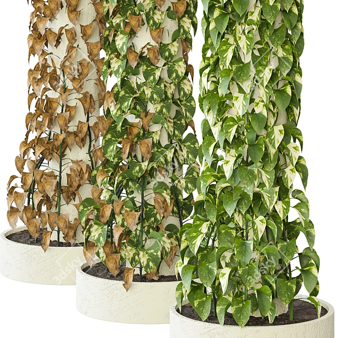 Outdoor Flowering Plant Column Set 3D model image 2