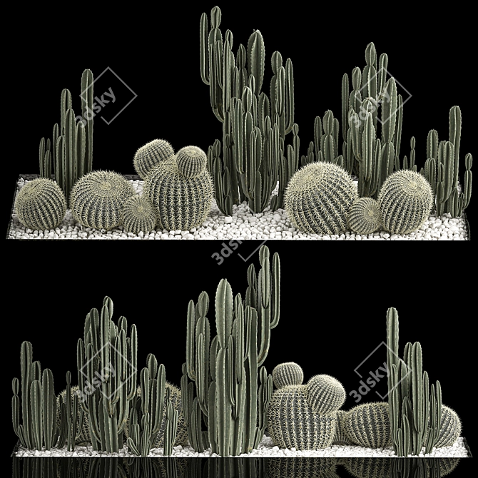 Desert Plant Collection: Cactus Garden 3D model image 1