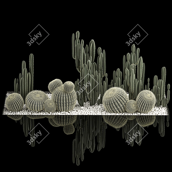 Desert Plant Collection: Cactus Garden 3D model image 2