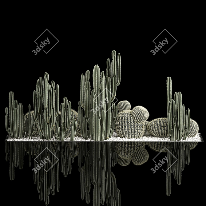 Desert Plant Collection: Cactus Garden 3D model image 4