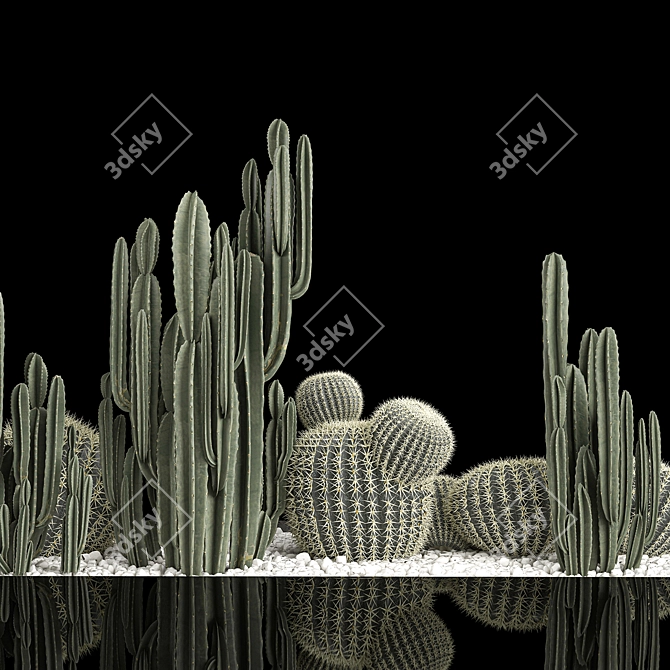 Desert Plant Collection: Cactus Garden 3D model image 5