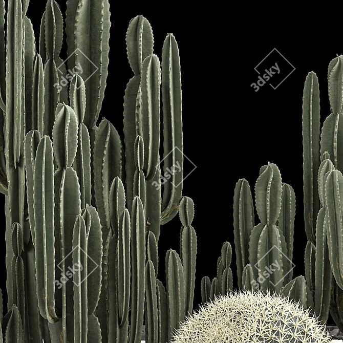 Desert Plant Collection: Cactus Garden 3D model image 6