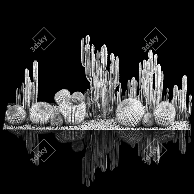 Desert Plant Collection: Cactus Garden 3D model image 7