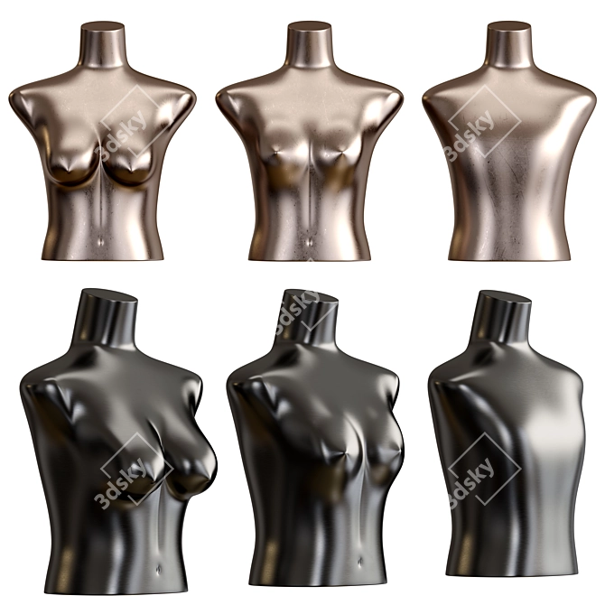 Metal Body w/ 2 Metals 3D model image 1