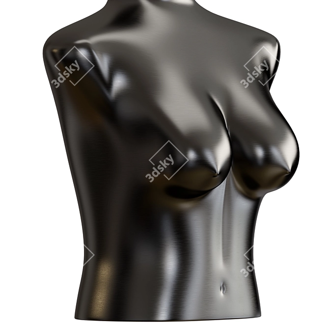 Metal Body w/ 2 Metals 3D model image 2