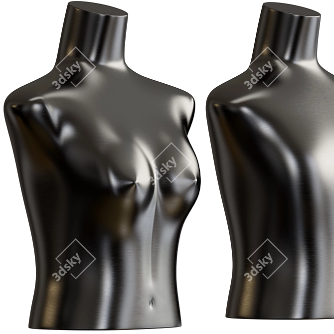 Metal Body w/ 2 Metals 3D model image 4