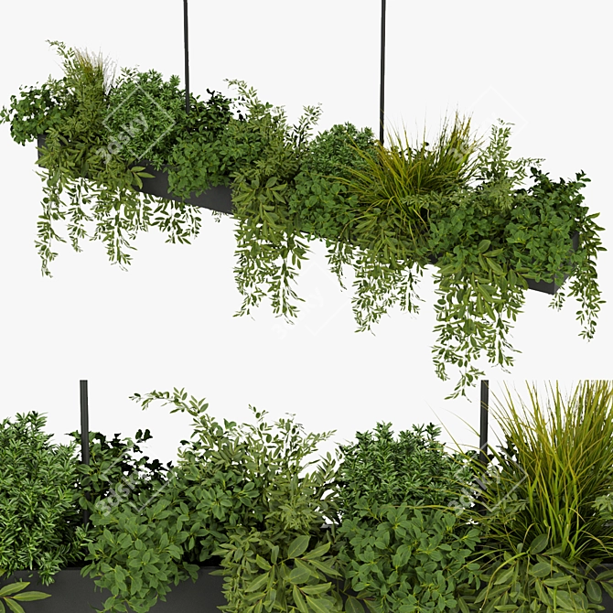 Leafy Indoor Hanging Plant 3D model image 1