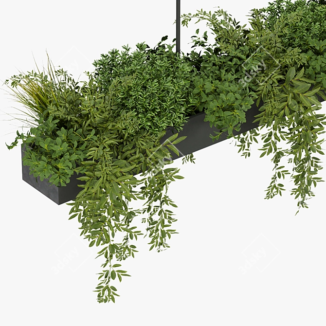 Leafy Indoor Hanging Plant 3D model image 2