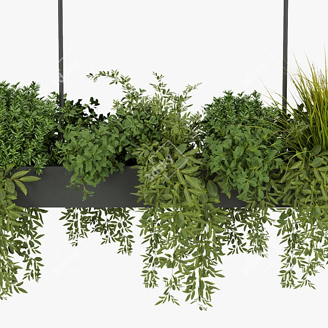 Leafy Indoor Hanging Plant 3D model image 5