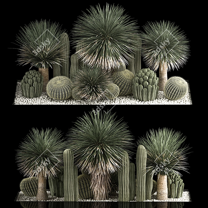 Desert Plant Set for Landscaping with Yucca, Dracaena, Cactus 3D model image 1